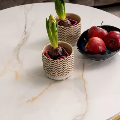 Couchtisch-Set JONES 80 – Weiß/Gold