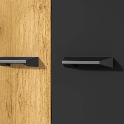 Zweitüriger Kleiderschrank 92 SABEL – Schwarz / Eiche Gold