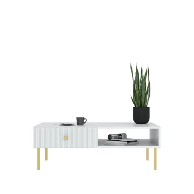 HASKEL Couchtisch - weiß + gold