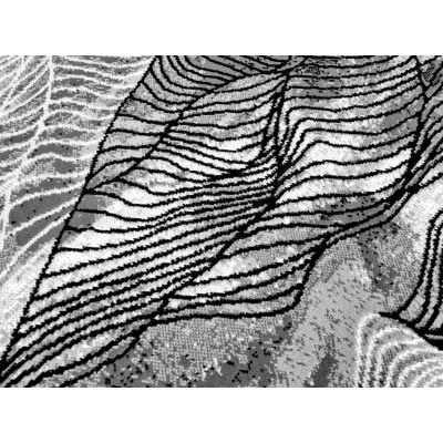 Moderner Stückteppich 200x300 cm LUKEN - grau