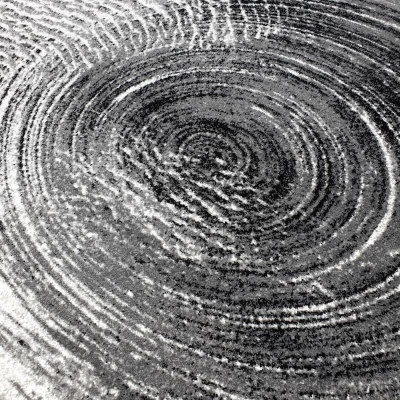 Abstrakter Stückteppich 200x290 cm DEMIAN - grau/weiß