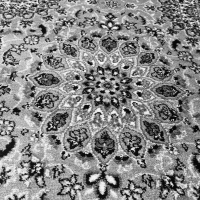 Teppich 200x300 cm LUCHO oval - grau