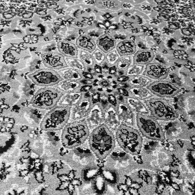Teppich 250x350 cm LUCHO - grau