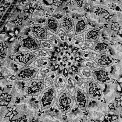 Teppich 200x300 cm LUCHO - grau