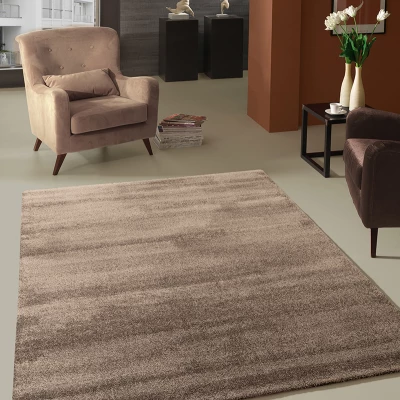 Unifarbener Stückteppich 200x290 HOLLISTER - braun