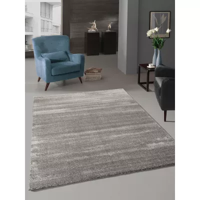 Unifarbener Stückteppich 200x290 HOLLISTER - grau