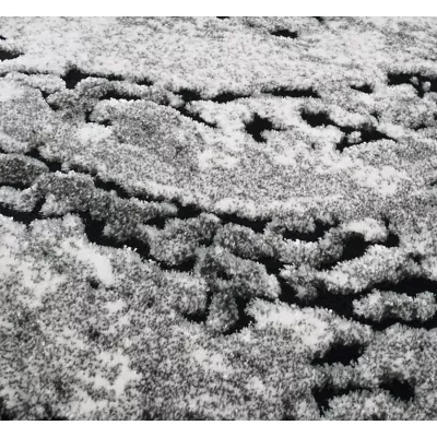 Rechteckiger Teppich 60x100 BRAWLEY 3 - grau / weiß