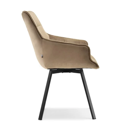 LOVISA Esszimmerstuhl - beige 2 / schwarz