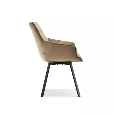 LOVISA Esszimmerstuhl - beige 2 / schwarz