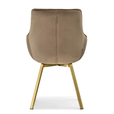 LOVISA Esszimmerstuhl - beige 2 / gold