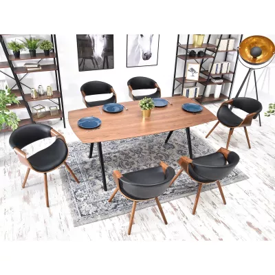 Designer Esszimmerstuhl SAROLTA - Walnuss / Schwarz 1