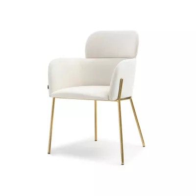 ELIZARA Polsterstuhl für Esszimmer - Creme 2 / Gold