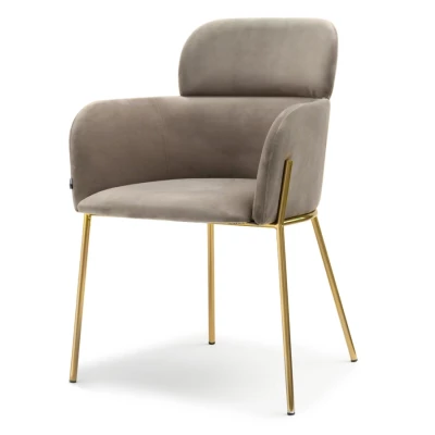 ELIZARA Polsteres Esszimmerstuhl - beige/gold