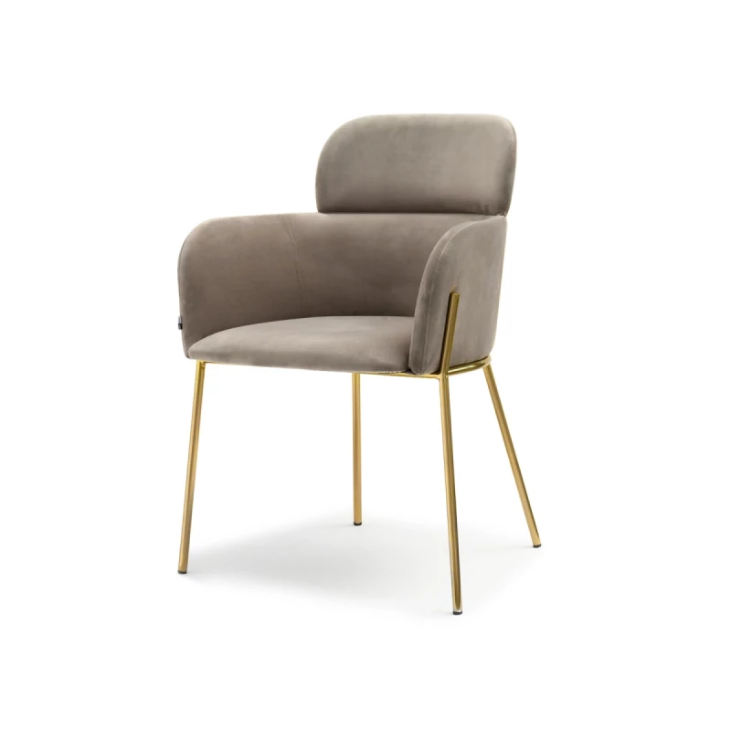 ELIZARA Polsteres Esszimmerstuhl - beige/gold