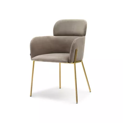 ELIZARA Polsteres Esszimmerstuhl - beige/gold