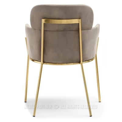 ELIZARA Polsteres Esszimmerstuhl - beige/gold