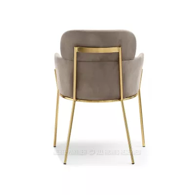 ELIZARA Polsteres Esszimmerstuhl - beige/gold