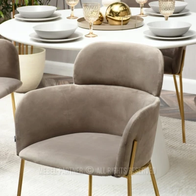 ELIZARA Polsteres Esszimmerstuhl - beige/gold