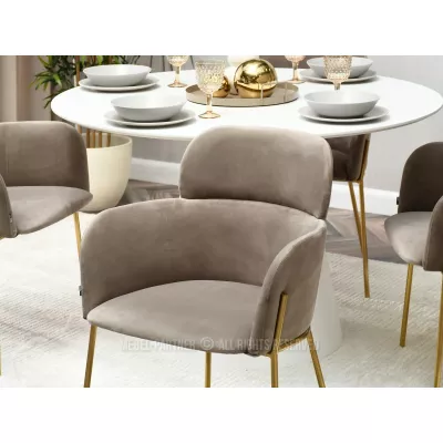 ELIZARA Polsteres Esszimmerstuhl - beige/gold