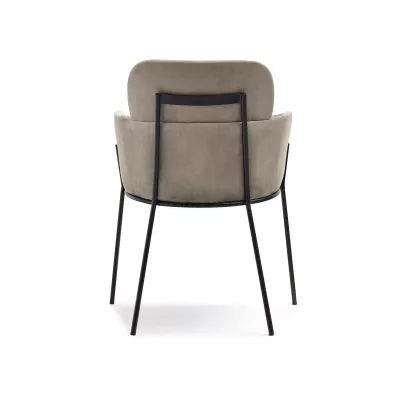 ELIZARA Polsteres Esszimmerstuhl - beige/schwarz