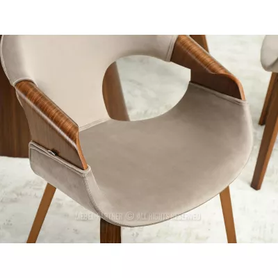 Esszimmerstuhl DARLENIS - Walnuss / Beige