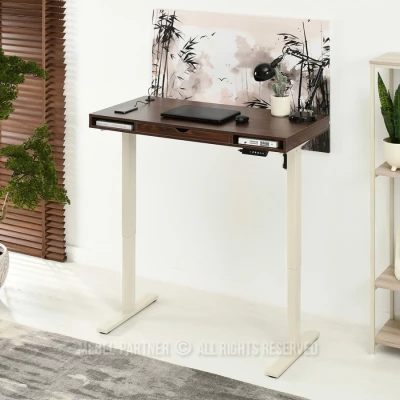 Schreibtisch 120 HESOL - Walnuss / Creme