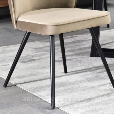Esszimmerstuhl LUKANA - beige / schwarz
