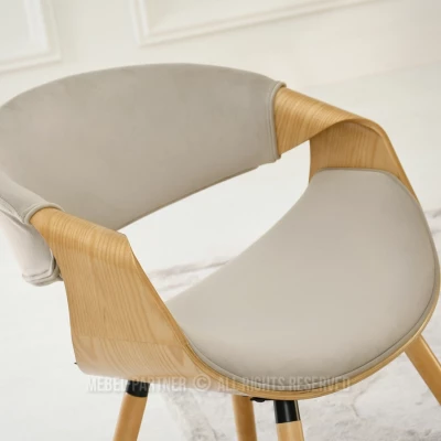 Designer Esszimmerstuhl SAROLTA - Beige / Eiche