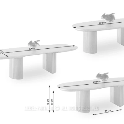 Ovaler Ausziehtisch 200(300)x110 ANTOS - Eiche