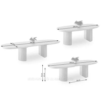 Ovaler Ausziehtisch 200(300)x110 ANTOS - Eiche