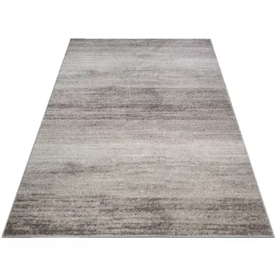 Moderner Einzelteppich 240x330 cm ADALBERTO - beige