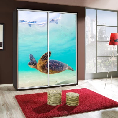 Hoher Kleiderschrank 155 cm mit Aufdruck DANUBE 24 - Kastanienbraun Wenge