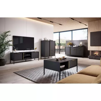 TV-Ständer 153 cm HARTSELE - Anthrazit