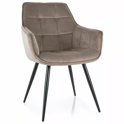 ORNELA Polsterstuhl für Esszimmer - Dunkelbeige/Schwarz
