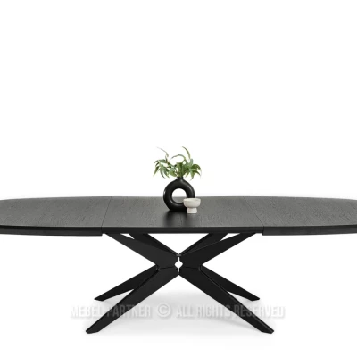 Ausziehbarer Esstisch 200(300)x110 EVIL - schwarz