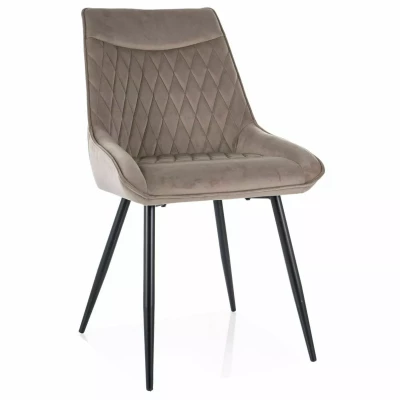 MAELIE Polsterstuhl für Esszimmer - beige/schwarz
