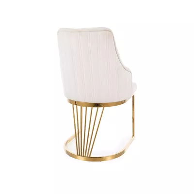 Designer-Esszimmerstuhl VALBURKA – Hellbeige/Gold