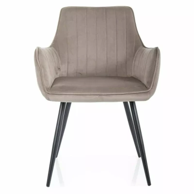 VANGELI Polsterstuhl für Esszimmer - beige/schwarz