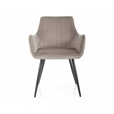 VANGELI Polsterstuhl für Esszimmer - beige/schwarz