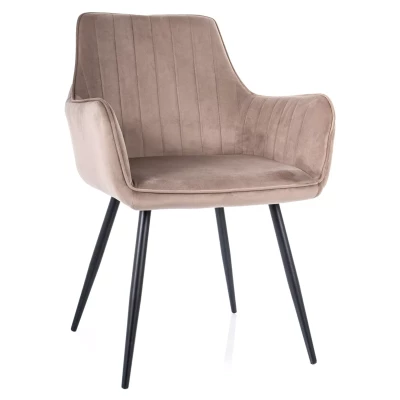 VANGELI Polsterstuhl für Esszimmer - beige/schwarz
