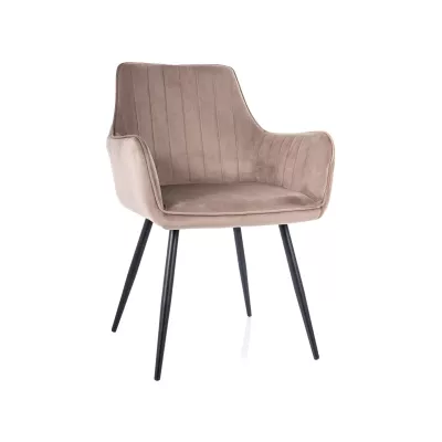 VANGELI Polsterstuhl für Esszimmer - beige/schwarz