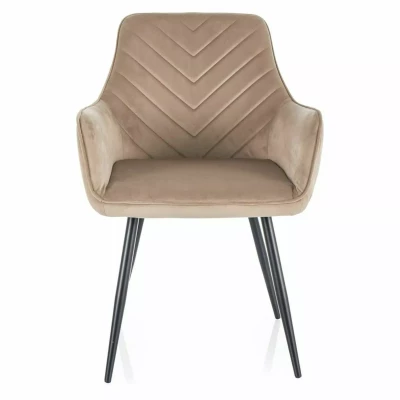 DORKAS Polsterstuhl für Esszimmer - beige/schwarz
