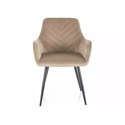 DORKAS Polsterstuhl für Esszimmer - beige/schwarz