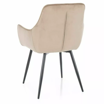DORKAS Polsterstuhl für Esszimmer - beige/schwarz