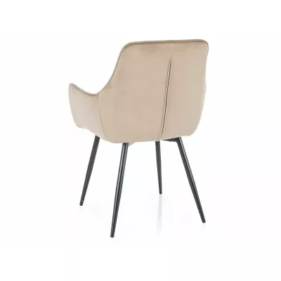 DORKAS Polsterstuhl für Esszimmer - beige/schwarz