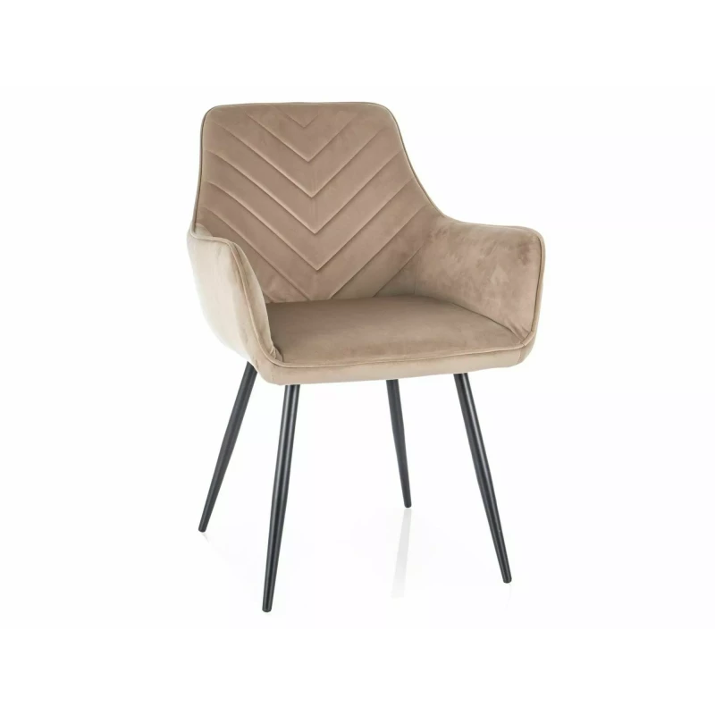 DORKAS Polsterstuhl für Esszimmer - beige/schwarz