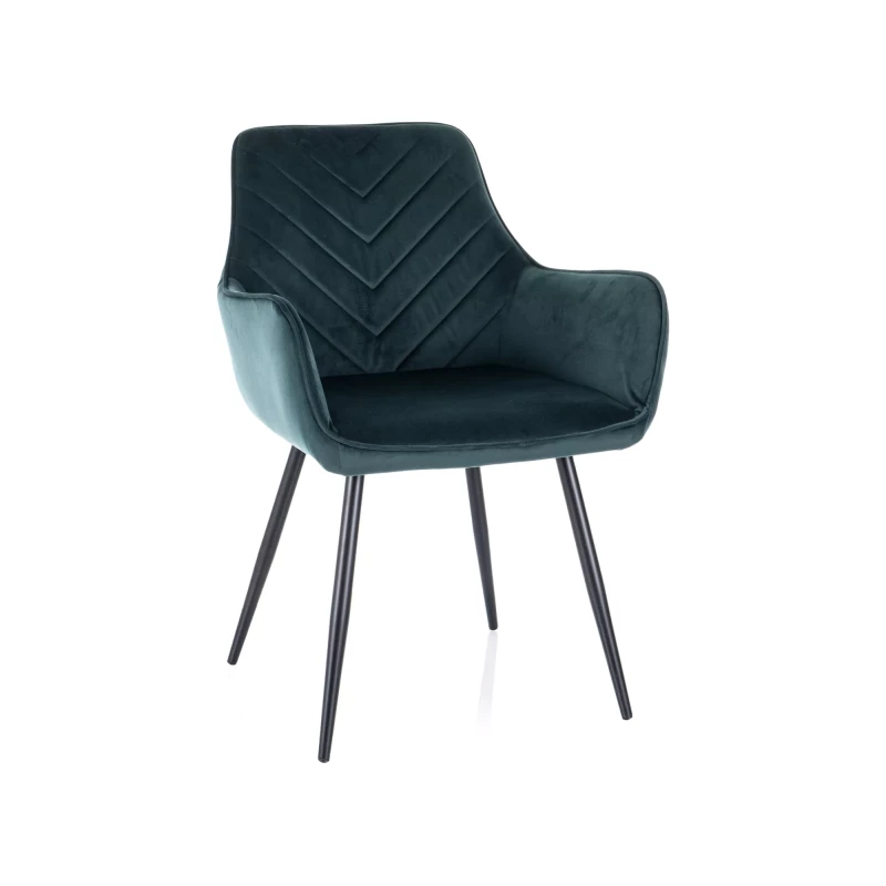DORKAS Polsterstuhl für Esszimmer - Petrol/Schwarz