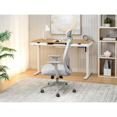 Bürostuhl BERNADINA - grau
