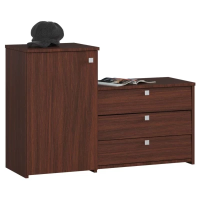 Schuhschrank mit Schrank VIRIAN - Wenge