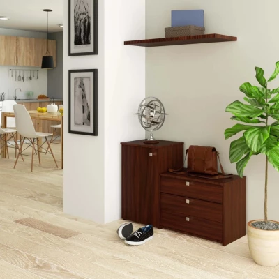 Schuhschrank mit Schrank VIRIAN - Wenge